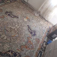 فرش ۱۲ متری|فرش|نیشابور, شهرک بسیج|دیوار