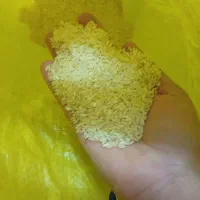 برنج عنبر بو شوشتر2تا موجوده بابهترین قیمت