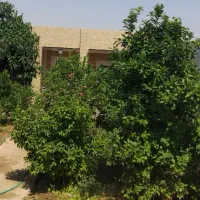 اجاره ویلا سوئیت، روزانه هفتگی ماهانه