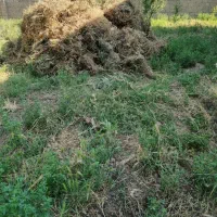 فروش یونجه و علف خشک.شهرک صنعتی میاندواب