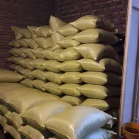 بذر گندم ال جی ۵LJ5 درجه یک|خدمات باغبانی و درختکاری|اردبیل, |دیوار