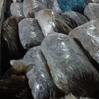 ضایعات خرما
