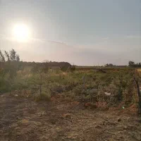 زمین کشاورزی اقبالیه