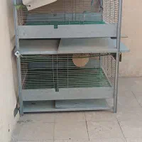 قفس دراور مرغ وخروس