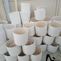 ختمی هندی گل