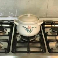 اجاق گاز اسنوا