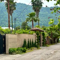 270متر-زمین-مسکونی-پلاک-یک-جنگل