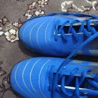 کفش ورزشی|تجهیزات ورزشی|رشت, جانبازان|دیوار