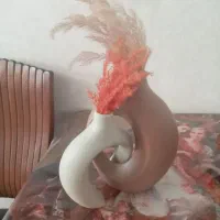 نونو خیلی شیک