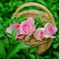 صیغه نامه و عقدنامه. معتبر|خدمات پذیرایی، مراسم|شاهین‌شهر, عطار|دیوار