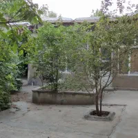 ویلایی حیاط دار سند ۶ دونگ|فروش خانه و ویلا|چناران, |دیوار