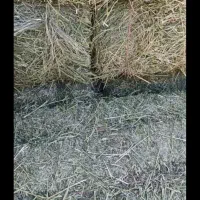 یونجه پرس چین دوم درانباری ۲۷۰عدد