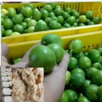 آبلیمو و لرد