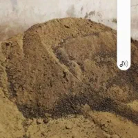 فوزولات گوسفند خشگ پر شده داخل کیسه اراد