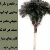 بلدرچین ماهی غازاردک مرغ شاخداربره کهره بزه میش|حیوانات مزرعه|یاسوج, |دیوار