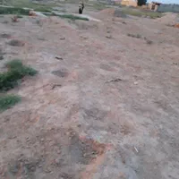 فروش فوری زمین ۱۵۰متری کوی ابوذر پشت مسجد ملا ماضی|فروش زمین و ملک کلنگی|سوسنگرد, |دیوار