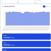 استخر ماینر با نت ملی اتصال به ویا و پیک پول