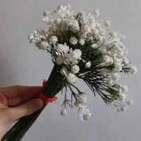 گل ارکیده و عروس|گل مصنوعی|مرند, |دیوار