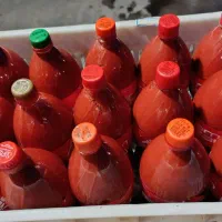 رب محلی|خوردنی و آشامیدنی|موچش, |دیوار