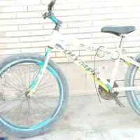 دوخرخ|دوچرخه، اسکیت، اسکوتر|نگین کویر, |دیوار