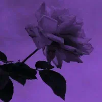 لطفا بخونید