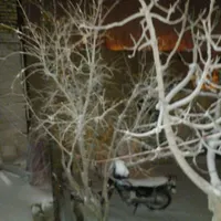 اسکان رایگان برای تهرانی ها