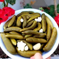 خیارشور حلب دبه شیشه|عمده‌فروشی|تهران, ابوذر|دیوار