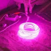 13 متر ریسه نئون رنگ نچرال بنفش|ریسه و چراغ تزئینی|فردیس, فردیس|دیوار