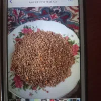 بذزگوجه|گل و گیاه طبیعی|اصفهان, ارداجی|دیوار
