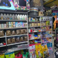 هرچی برای حیوان خونگیت بخوای، تو آبتین هست|لوازم جانبی حیوانات|شیراز, شهرک گلستان|دیوار