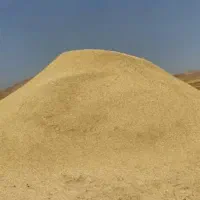 فروش کاه