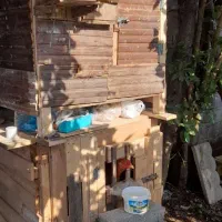 لانه حیوان|لوازم جانبی حیوانات|لاهیجان, بازکیاگوراب|دیوار