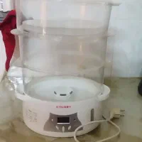 بخار پز