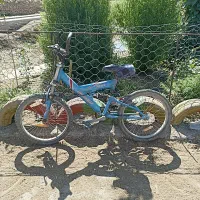 دوچرخه 20|دوچرخه، اسکیت، اسکوتر|گل تپه, |دیوار