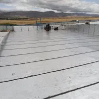 ایزوگام آرتا بام عباس زاده