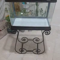 آکواریوم شیشه خم