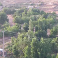 زمین دیم باسند ششدانگ وباقولنامه شورایی