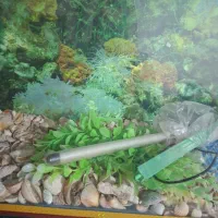 اکواریوم بزرگ|ماهی|مشهد, حسینآباد|دیوار