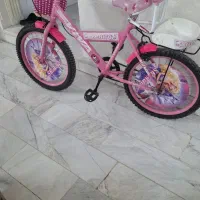 دوچرخه 20