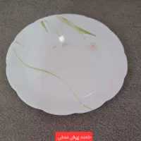 ارکوپال دسینی|ظروف سرو و پذیرایی|محمدیه-قزوین, |دیوار