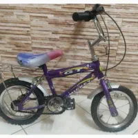 دوچرخه دوازده