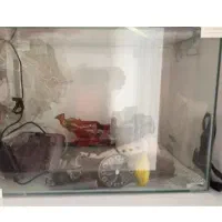 آکواریوم شیشه خم شرکتی بزرگ