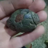 فروش تعدادی شهاب سنگ|کلکسیون اشیاء عتیقه|خوی, |دیوار