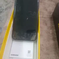 شیامی پوکو اف تری