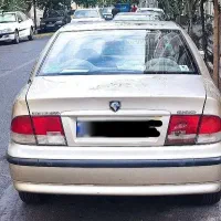 سمندی ایده‌آل و سرحال
