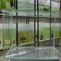 آکواریوم شیشه خم حراج / آکواریوم بهروز|ماهی|زنجان, |دیوار