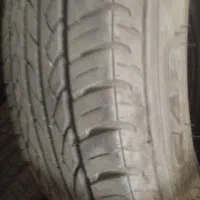 لاستیک سمندی بارز