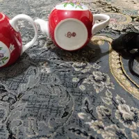 قوری دوربین منقل