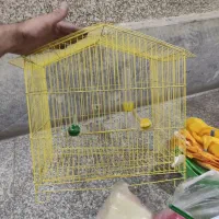 قفس