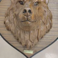 سردیس گرگ